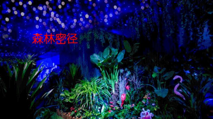 海鲜汤怎么做知识星球平台,助力你的知识学习